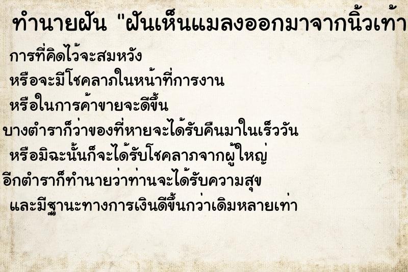 ทำนายฝันฝันเห็นแมลงออกมาจากนิ้วเท้า ทำนายฝันทำนายฝันฝันเห็นแมลงออกมาจากนิ้วเท้า
