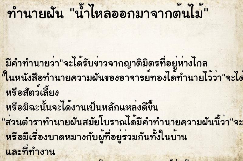 ทำนายฝันน้ำไหลออกมาจากต้นไม้ ทำนายฝันทำนายฝันน้ำไหลออกมาจากต้นไม้