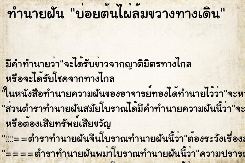 ทำนายฝันบ่อยต้นไผ่ล้มขวางทางเดิน ทำนายฝันทำนายฝันบ่อยต้นไผ่ล้มขวางทางเดิน
