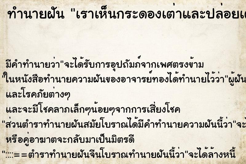 ทำนายฝันเราเห็นกระดองเต่าและปล่อยเต่าลงน้ำ ทำนายฝันทำนายฝันเราเห็นกระดองเต่าและปล่อยเต่าลงน้ำ
