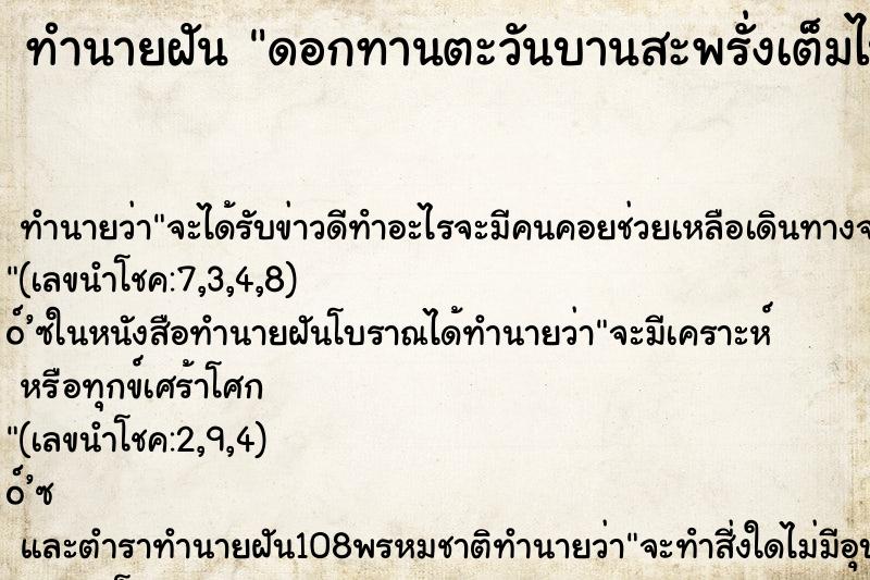ทำนายฝัน ดอกทานตะวันบานสะพรั่งเต็มไปหมด