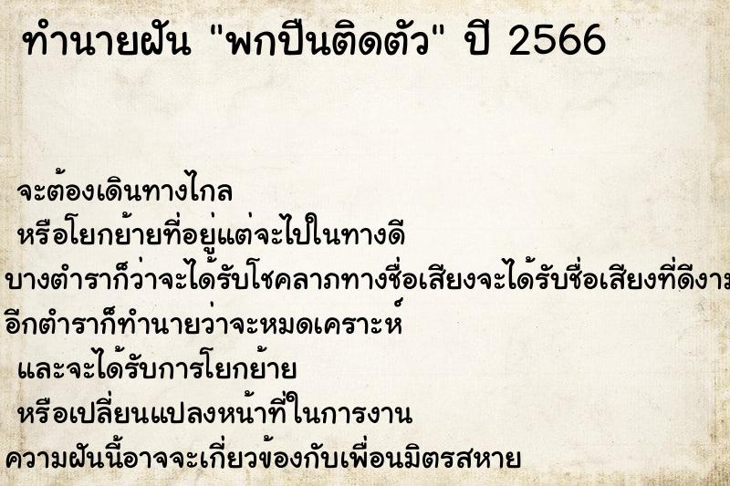 ทำนายฝัน พกปืนติดตัว ทำนายฝัน พกปืนติดตัว