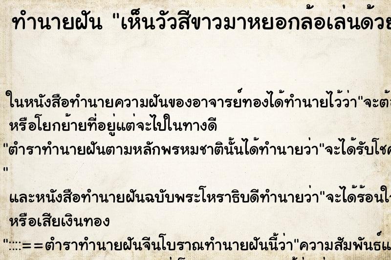 ทำนายฝันทำนายฝันเห็นวัวสีขาวมาหยอกล้อเล่นด้วย