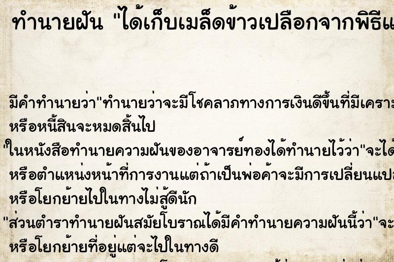 ทำนายฝัน ได้เก็บเมล็ดข้าวเปลือกจากพิธีแรกนาขวัญ ทำนายฝัน ได้เก็บเมล็ดข้าวเปลือกจากพิธีแรกนาขวัญ