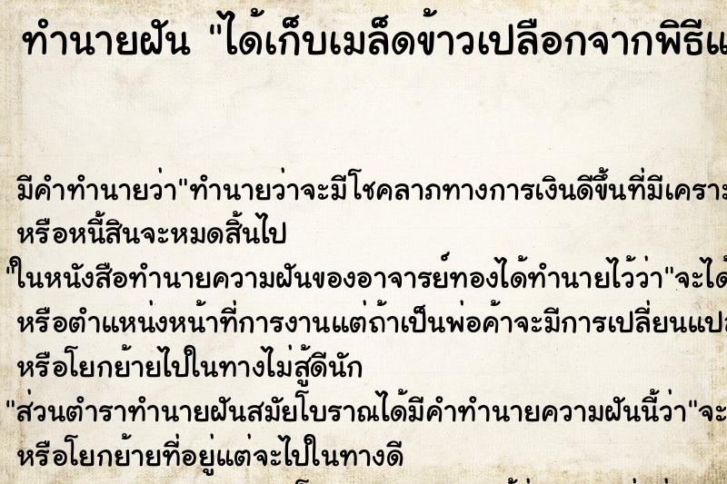 ทำนายฝัน ได้เก็บเมล็ดข้าวเปลือกจากพิธีแรกนาขวัญ ตำราโบราณ แม่นที่สุดในโลก