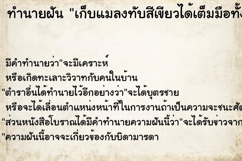 ทำนายฝัน เก็บแมลงทับสีเขียวได้เต็มมือทั้งสองข้าง ทำนายฝัน เก็บแมลงทับสีเขียวได้เต็มมือทั้งสองข้าง