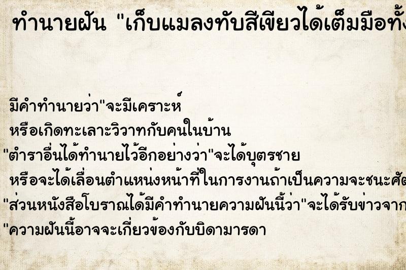 ทำนายฝัน เก็บแมลงทับสีเขียวได้เต็มมือทั้งสองข้าง ตำราโบราณ แม่นที่สุดในโลก