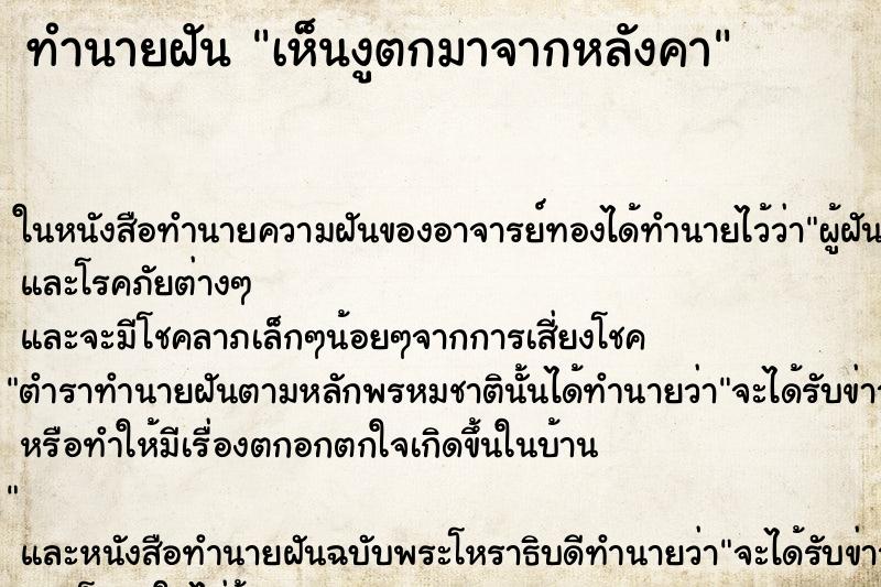 ทำนายฝัน เห็นงูตกมาจากหลังคา ทำนายฝัน เห็นงูตกมาจากหลังคา