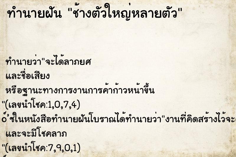 ทำนายฝัน ช้างตัวใหญ่หลายตัว ทำนายฝัน ช้างตัวใหญ่หลายตัว