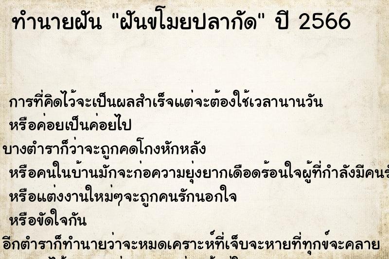 ทำนายฝันฝันขโมยปลากัด ทำนายฝันทำนายฝันฝันขโมยปลากัด