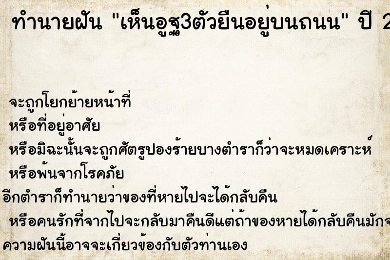 ทำนายฝันทำนายฝันเห็นอูฐ3ตัวยืนอยู่บนถนน