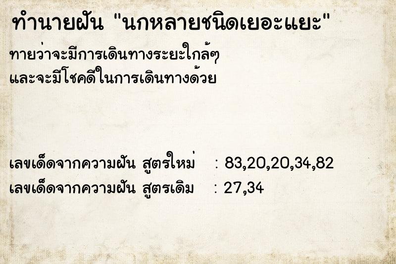 ทำนายฝันทำนายฝันนกหลายชนิดเยอะแยะ