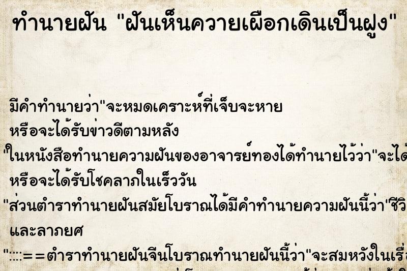 ทำนายฝันฝันเห็นควายเผือกเดินเป็นฝูง ทำนายฝันทำนายฝันฝันเห็นควายเผือกเดินเป็นฝูง