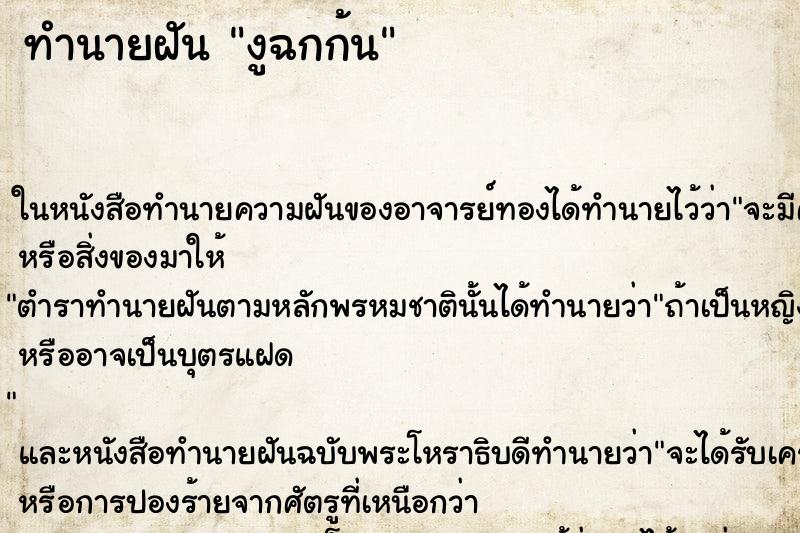 ทำนายฝัน งูฉกก้น แม่นๆ ฟรี ด้วยตำราหนังสือทำนายฝันโบราณ ทำนายฝันงูฉกก้น