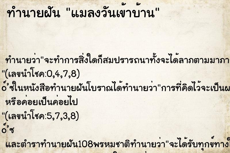 ทำนายฝันแมลงวันเข้าบ้าน ทำนายฝันทำนายฝันแมลงวันเข้าบ้าน