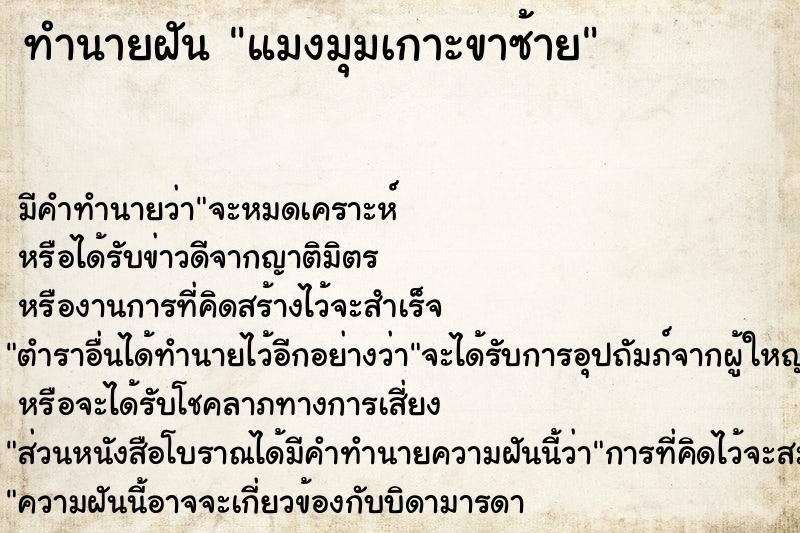ทำนายฝัน แมงมุมเกาะขาซ้าย ทำนายฝัน แมงมุมเกาะขาซ้าย