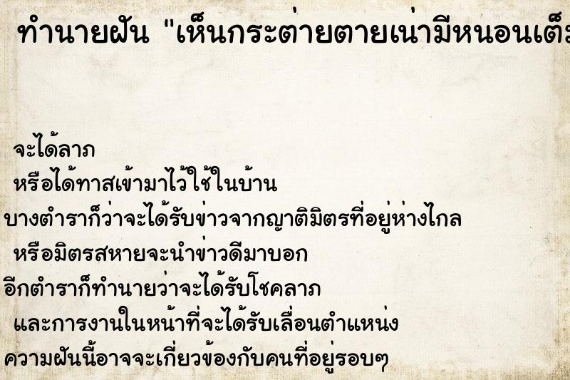 ทำนายฝันเห็นกระต่ายตายเน่ามีหนอนเต็มตัว ทำนายฝันทำนายฝันเห็นกระต่ายตายเน่ามีหนอนเต็มตัว