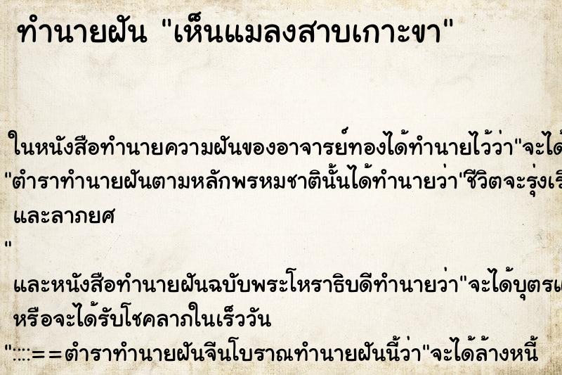 ทำนายฝัน เห็นแมลงสาบเกาะขา