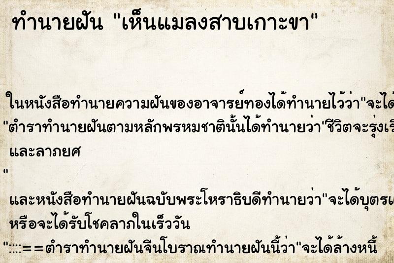 ทำนายฝัน เห็นแมลงสาบเกาะขา ตำราโบราณ แม่นที่สุดในโลก