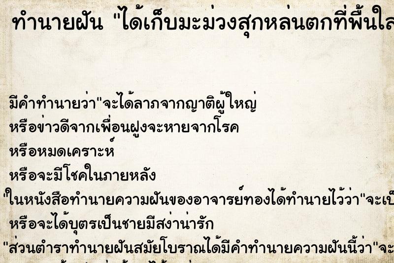 ทำนายฝัน ได้เก็บมะม่วงสุกหล่นตกที่พื้นใส่ถุงเยอะแยะ ทำนายฝัน ได้เก็บมะม่วงสุกหล่นตกที่พื้นใส่ถุงเยอะแยะ