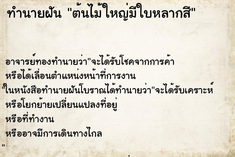ทำนายฝันทำนายฝันต้นไม้ใหญ่มีใบหลากสี