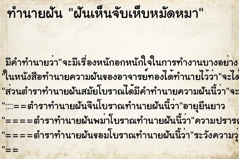 ทำนายฝันฝันเห็นจับเห็บหมัดหมา ทำนายฝันทำนายฝันฝันเห็นจับเห็บหมัดหมา