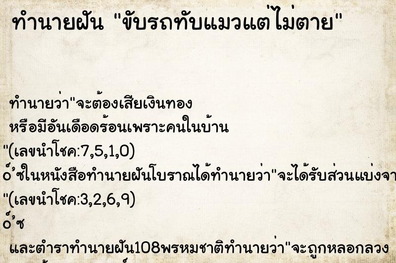 ทำนายฝัน ขับรถทับแมวแต่ไม่ตาย ตำราโบราณ แม่นที่สุดในโลก