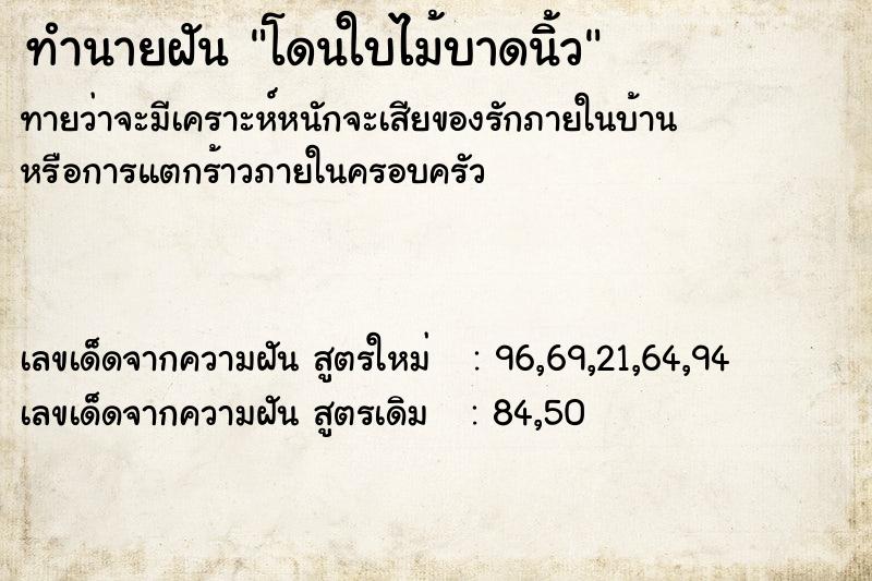 ทำนายฝันโดนใบไม้บาดนิ้ว ทำนายฝันทำนายฝันโดนใบไม้บาดนิ้ว