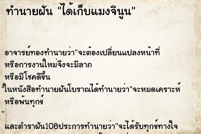 ทำนายฝัน ได้เก็บแมงจินูน