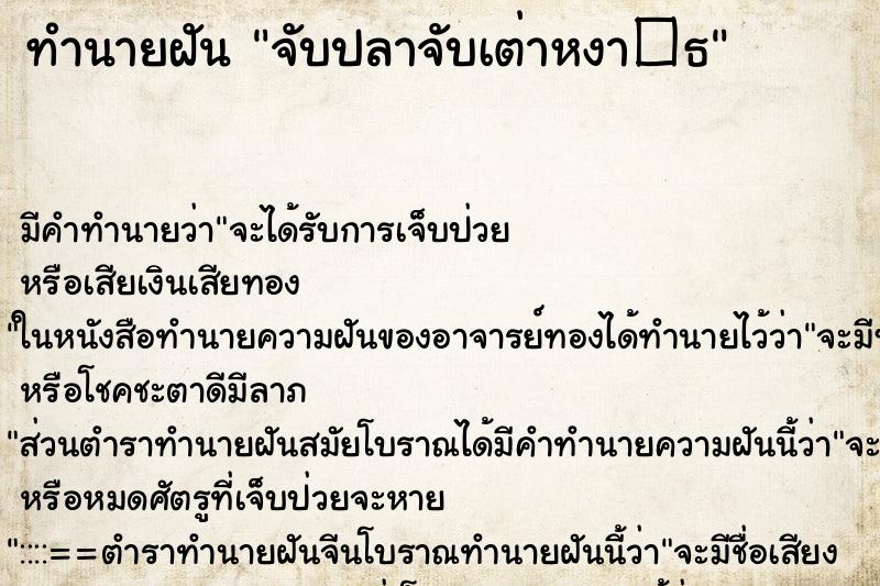 ทำนายฝันจับปลาจับเต่าหงา�¸ ทำนายฝันทำนายฝันจับปลาจับเต่าหงา�¸