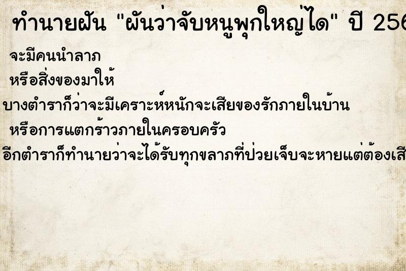 ทำนายฝัน ผันว่าจับหนูพุกใหญ่ได ทำนายฝัน ผันว่าจับหนูพุกใหญ่ได
