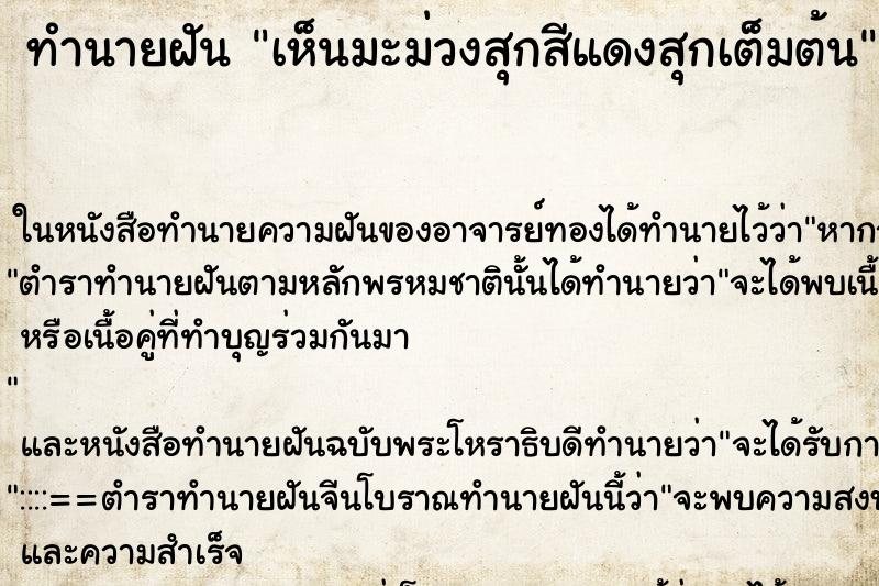 ทำนายฝันเห็นมะม่วงสุกสีแดงสุกเต็มต้น ทำนายฝันทำนายฝันเห็นมะม่วงสุกสีแดงสุกเต็มต้น