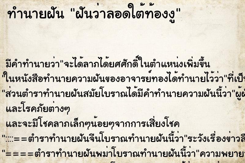 ทำนายฝันฝันว่าลอดใต้ท้องงู ทำนายฝันทำนายฝันฝันว่าลอดใต้ท้องงู