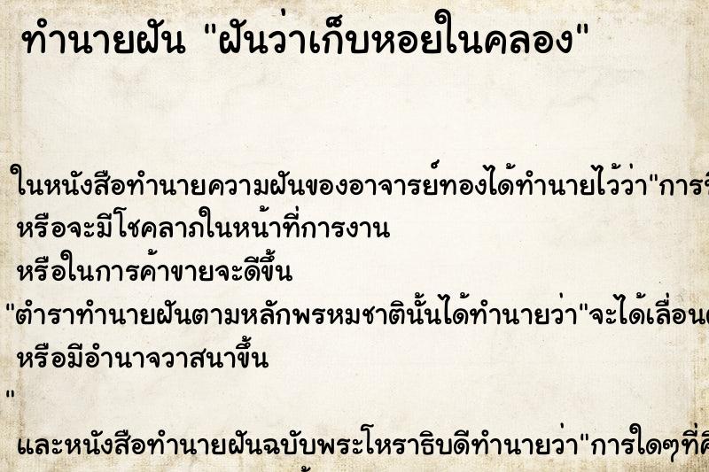 ทำนายฝันฝันว่าเก็บหอยในคลอง ทำนายฝันทำนายฝันฝันว่าเก็บหอยในคลอง