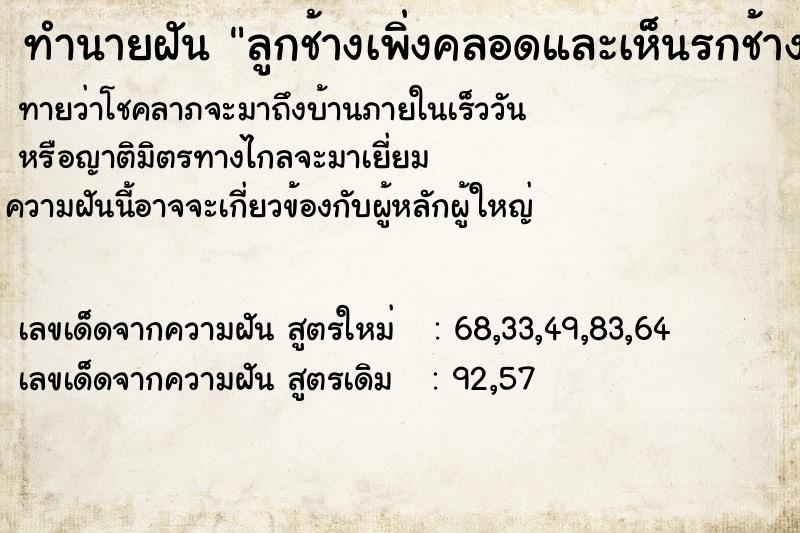 ทำนายฝันทำนายฝันลูกช้างเพิ่งคลอดและเห็นรกช้างด้วย