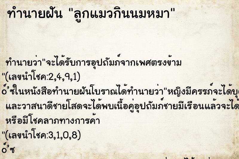 ทำนายฝัน ลูกแมวกินนมหมา ทำนายฝัน ลูกแมวกินนมหมา