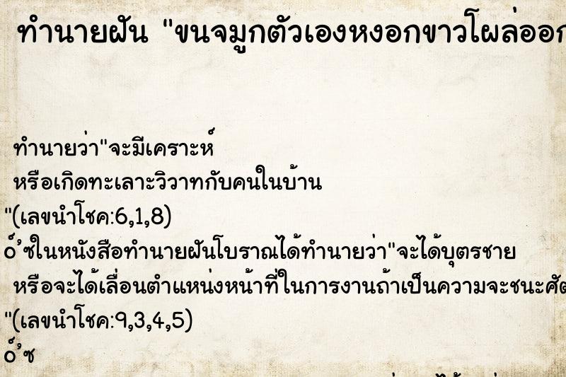 ทำนายฝัน ขนจมูกตัวเองหงอกขาวโผล่ออกมาที่รูจมูกตัวเอง ทำนายฝัน ขนจมูกตัวเองหงอกขาวโผล่ออกมาที่รูจมูกตัวเอง