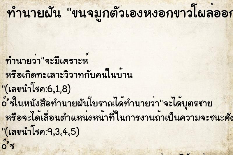 ทำนายฝัน ขนจมูกตัวเองหงอกขาวโผล่ออกมาที่รูจมูกตัวเอง ตำราโบราณ แม่นที่สุดในโลก