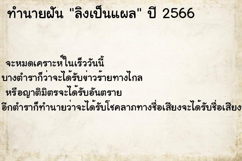 ทำนายฝันลิงเป็นแผล ทำนายฝันทำนายฝันลิงเป็นแผล