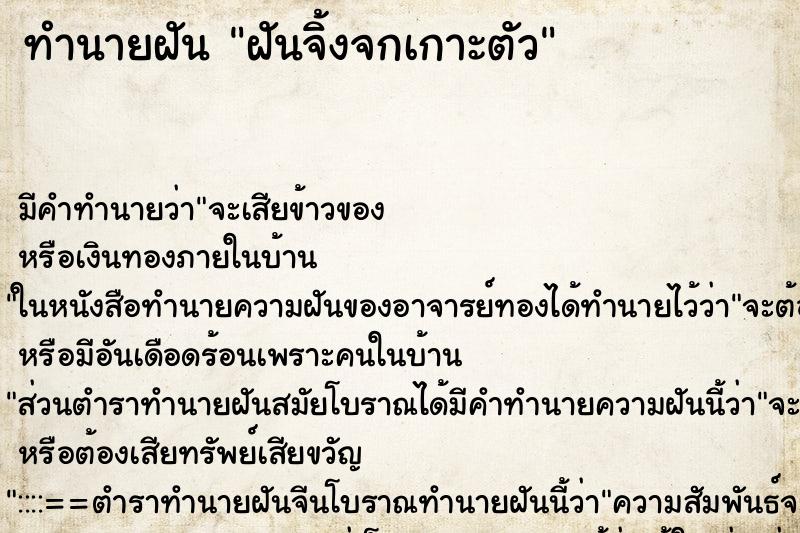 ทำนายฝันทำนายฝันฝันจิ้งจกเกาะตัว