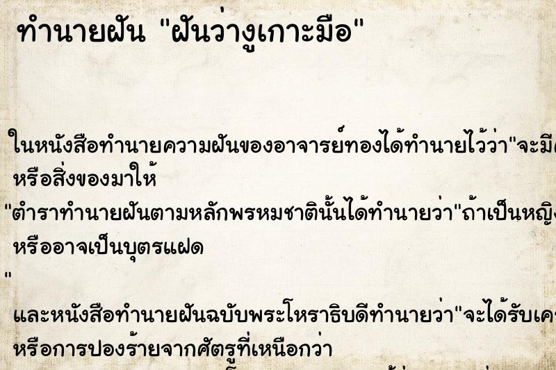 ทำนายฝันฝันว่างูเกาะมือ ทำนายฝันทำนายฝันฝันว่างูเกาะมือ