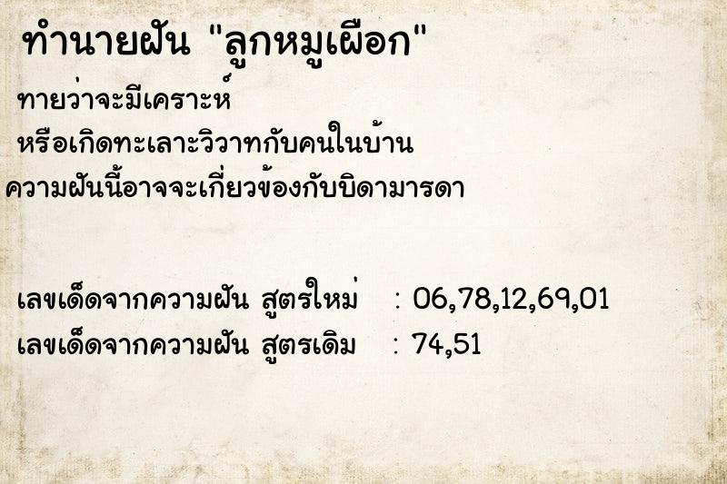 ทำนายฝัน ลูกหมูเผือก ทำนายฝัน ลูกหมูเผือก