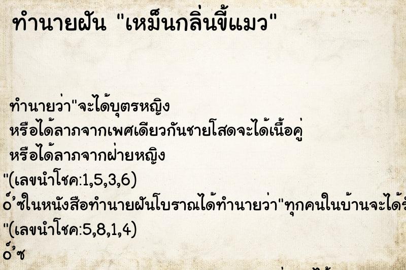ทำนายฝันทำนายฝันเหม็นกลิ่นขี้แมว