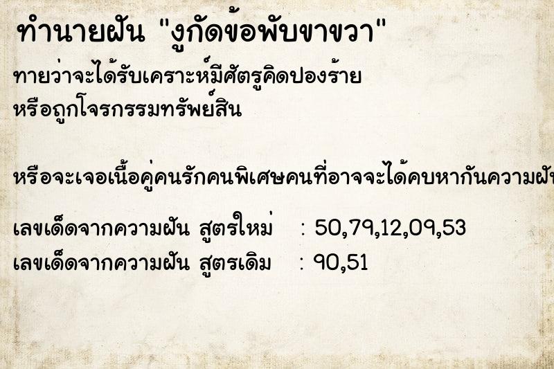 ทำนายฝัน งูกัดข้อพับขาขวา ทำนายฝัน งูกัดข้อพับขาขวา