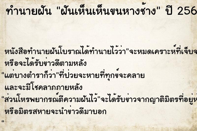 ทำนายฝันทำนายฝันฝันเห็นเห็นขนหางช้าง
