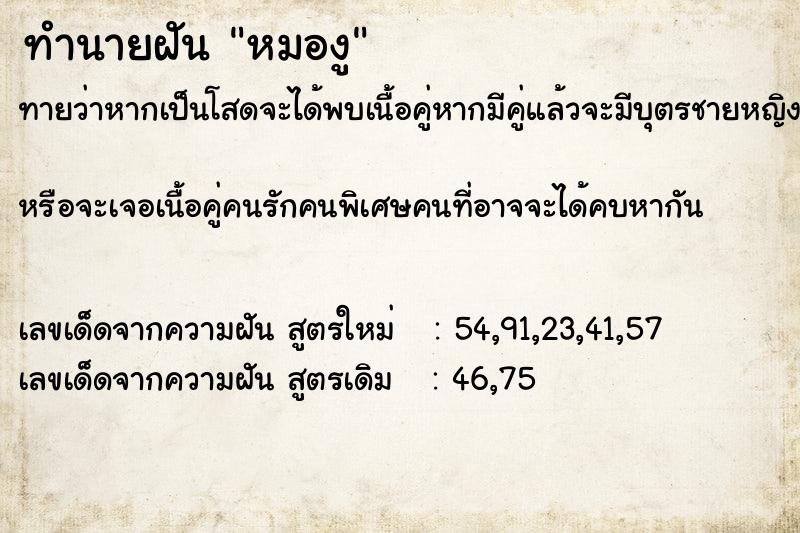 ทำนายฝัน หมองู ทำนายฝัน หมองู