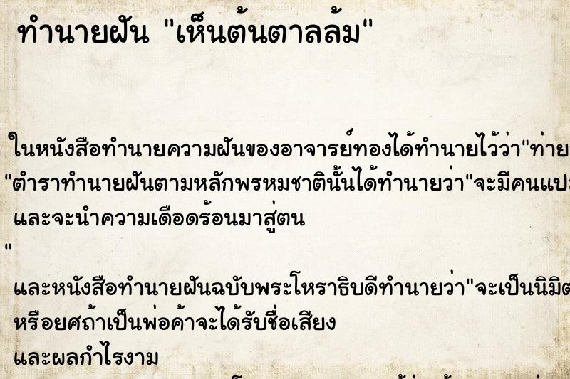ทำนายฝัน เห็นต้นตาลล้ม ทำนายฝัน เห็นต้นตาลล้ม