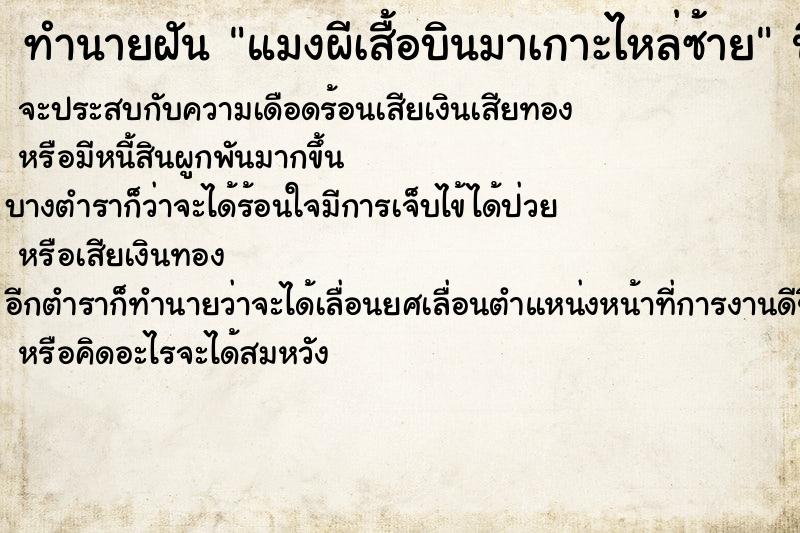 ทำนายฝัน แมงผีเสื้อบินมาเกาะไหล่ซ้าย ทำนายฝัน แมงผีเสื้อบินมาเกาะไหล่ซ้าย