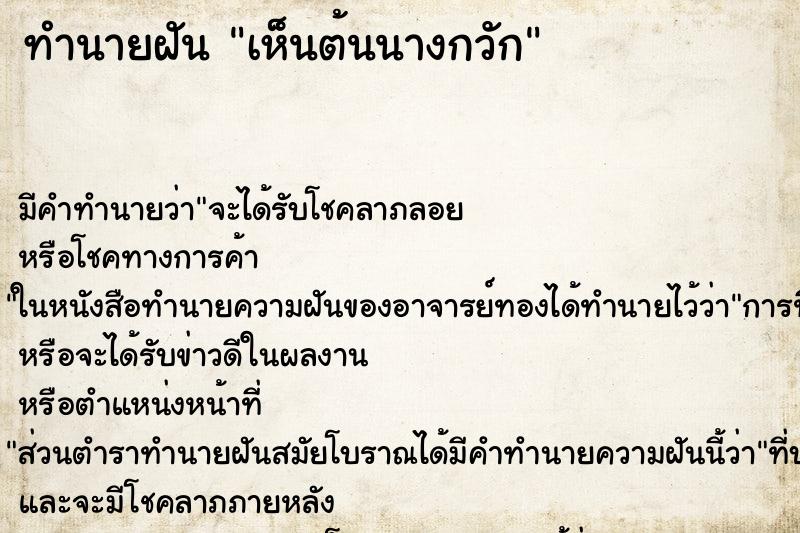 ทำนายฝัน เห็นต้นนางกวัก ทำนายฝัน เห็นต้นนางกวัก
