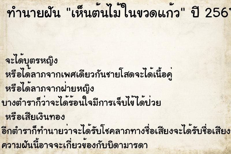 ทำนายฝัน เห็นต้นไม้ในขวดแก้ว ทำนายฝัน เห็นต้นไม้ในขวดแก้ว
